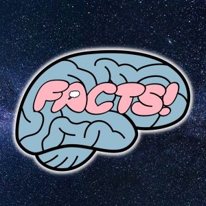 Your Brain On Facts